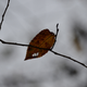 Illustration for article titled 48 Photos Of Autumn Around The World